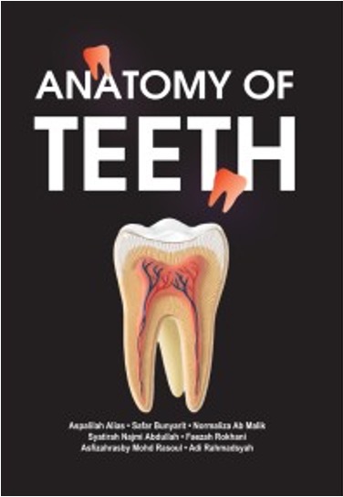 ANATOMY OF TEETH